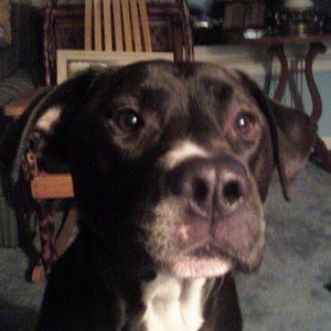 Meet your Posher, Jayson